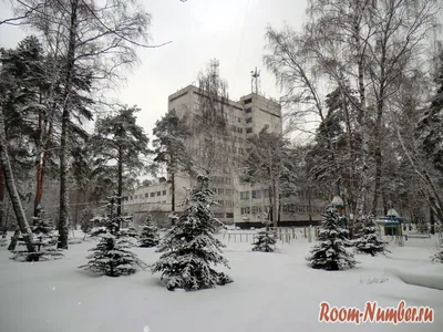 Сауна Санаторий Светлана Москва, Таёжная ул., 1 🚩 цена от 2200 руб.,  вместимость до 6 чел. ДАЙ ЖАРУ в Москве, адреса и телефоны 💦 саун и бань  ♨️ рядом с Вами на сайте ДАЙ ЖАРУ в Москве