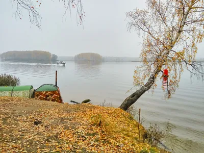 Пестовское водохранилище, Московская область — рыбалка, карта, отдых,  пляжи, глубина, фото, как доехать