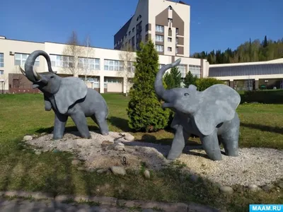 Отзыв о Центр реабилитации \"Топаз\" (Россия, Мыски) | Шикарное место для  восстановления своего здоровья и просто для отдыха!