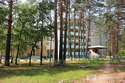 Санаторий «Бузули» Благовещенск, в Амурской области - цены 2024, фото,  отзывы