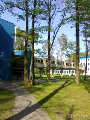 Санаторий Жемчужина в Боровке, путевки в санаторий Жемчужина в 2024 году