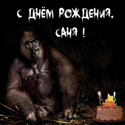 Поздравляем с Днем Рождения Александр (Милько) - Форум ассоциации  караванеров Украины CARAVAN TEAM UA