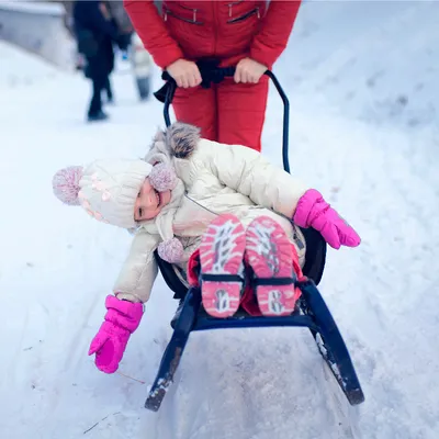 Санки-коляска зимние Ника Детям 2016 серия Цирк купить в Москве недорого