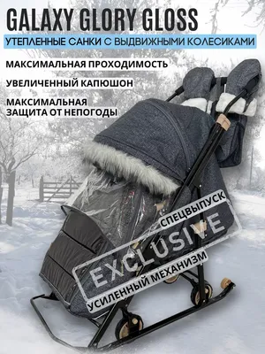 Купить Санки-коляска «Зима-Лето - фея» с колесами, цвет розовый в Донецке |  Vlarni-land - товары из РФ в ДНР
