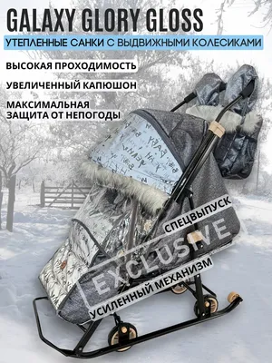 Коляска санки зима-лето \"Фея\".Childcars.ru