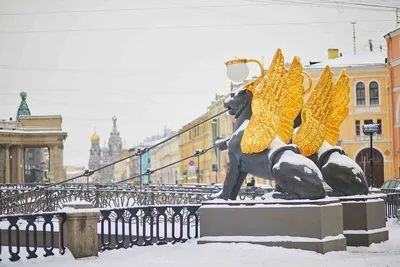 История возникновения Санкт-Петербурга