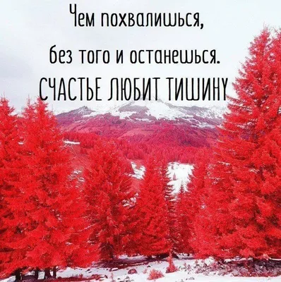 Счастье любит тишину | Умные мысли | Дзен