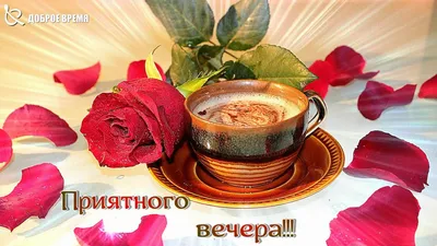 Приятного вечера)☕ | Открытки Тедди | ВКонтакте