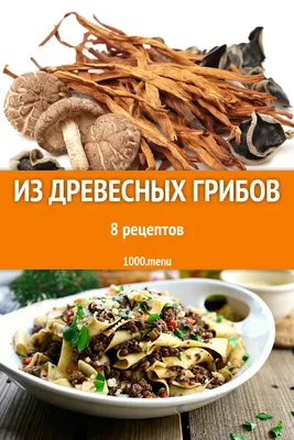Наступает грибная пора. В лес пора! - Экологическая электронная библиотека