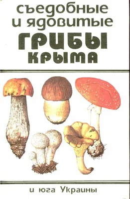 Как правильно собирать грибы в Крыму | Пикабу