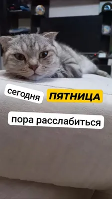 Сегодня Пятница читайте побольше Салават🤍 | Instagram