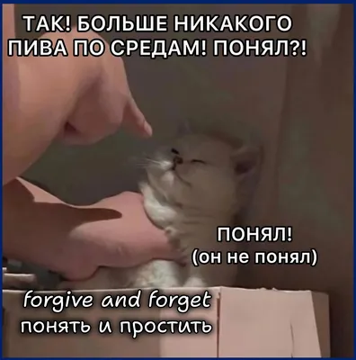 ТАНЦУЕМ ВСЕ ДРУЗЬЯ**ВЕДЬ СЕГОДНЯ ПЯТНИЦА...**!!! ~ Открытка (плейкаст)