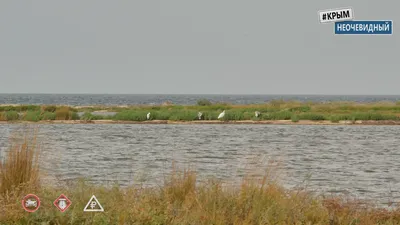 Пляж в Портовом в Крыму