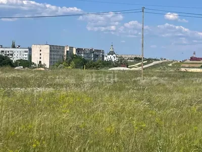 Андрей Захаров проверил готовность пляжей к купальному сезону - Лента  новостей Крыма