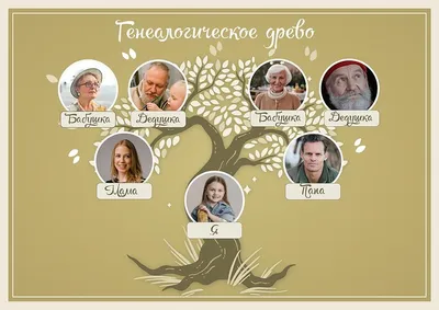 Родословная, генеалогическое древо