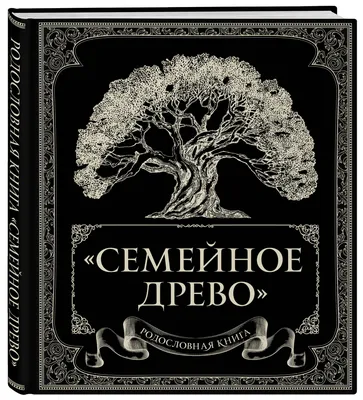 Что символизирует генеалогическое древо, и как его правильно оформить |  История одной семьи | Дзен