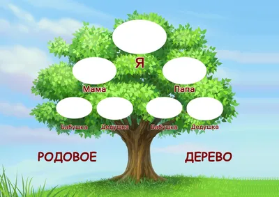 Как создать семейное дерево в Microsoft Excel