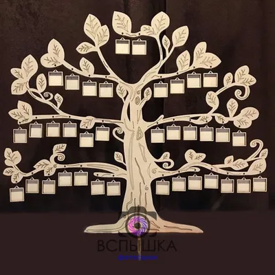 Дерево семьи рисунок - 82 фото