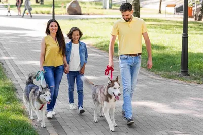 Семейные собаки для детей (60 фото) - картинки sobakovod.club