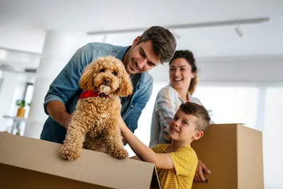 Счастливая семья с милой собакой дома :: Стоковая фотография :: Pixel-Shot  Studio