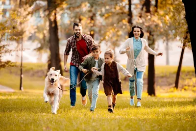 Счастливая семья с собакой на дороге :: Стоковая фотография :: Pixel-Shot  Studio