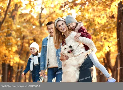 Семья с собакой в лесу - 68 фото