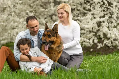 Семейная фотосессия с собакой. Детский фотограф и семейный фотограф в  Санкт-Петербурге Настя Околот -