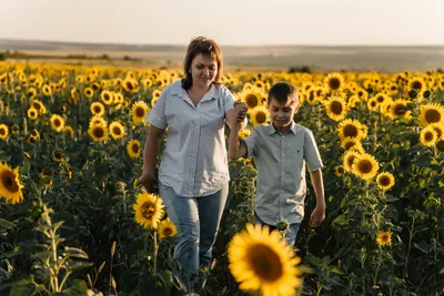 Фотограф Светлана Ковалевская - Кому фоточки в подсолнухах? 🌻🌻🌻 Объявляю  предварительную запись на фотосессии в подсолнухах. 📝Пишите в личку или  WhatsApp +79030362613 #фотосессия #детскийфотографтула #детскаяфотосессия  #фотосессиянаприроде ...
