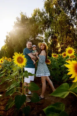 Идеи для фото в подсолнухах | Sunflower photography, Sunflower field  pictures, Sunflower field photography