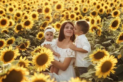 Фотосессия в подсолнухах. Фотограф Полина Золотова