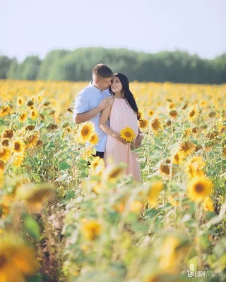 Семейные фотосессии и lovestory в подсолнухах 🌻🌻 Торопитесь  забронировать… | Photo, Instagram, Instagram posts