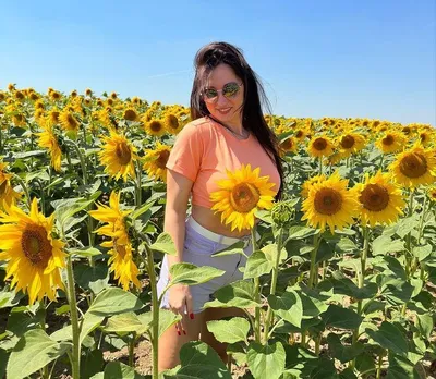 Подсолнухи. Семейная фотосессия 1 августа 2015г.