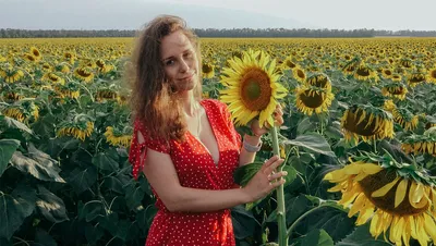 Фотообои Поле подсолнухов на стену. Купить фотообои Поле подсолнухов в  интернет-магазине WallArt