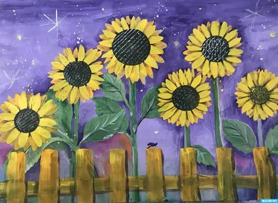 🌻Заглянули в мир подсолнухов! 🌻 | Интересная жизнь многодетной весёлой  семьи🤍🤎🤍 | Дзен