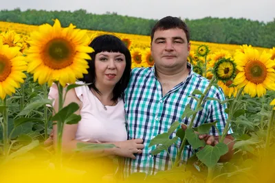 Радость в подсолнухах