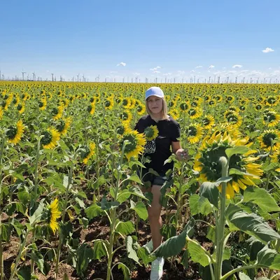 Я 🤭 - теть в полном расцвете отсутствия сил, зато 😂 в цветущих подсолнухах  🌻🌻🌻🌻🌻🌻 #подсолнухи #я #поездка #жизнь #семья #любовь #эмоции… |  Instagram
