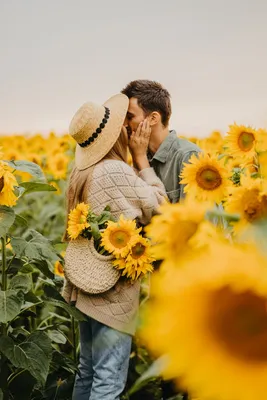 Фотосессия в подсолнухах | Mommy and me photo shoot, Sunflower photography,  Sunflower field photography