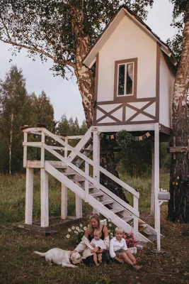 семейное дерево с пустыми рамками для фотографий в стиле. место для  проектирования Стоковое Изображение - изображение насчитывающей фото,  пусто: 225073453