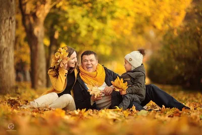 Семейная осенняя фотосессия в парке | Осенние фотосессии, Осенние семейные  портреты, Осенние семейные фотографии