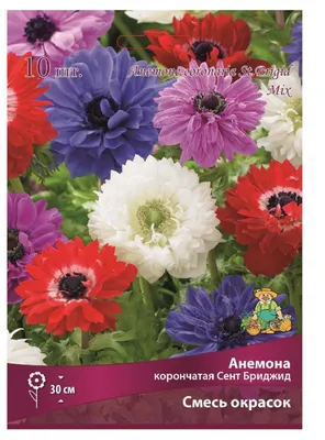 Семена анемона Сент Бриджит 1 уп. - купить в Москве, цены на Мегамаркет