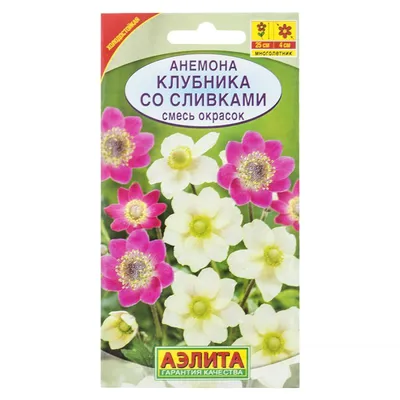 Анемона Анемона белая (white) многолет. купить семена анемоны Benary |  доставка почтой по Украине