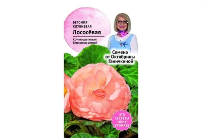 Семена бегонии клубневой, Октябрина Ганичкина, лососевая 6 шт — купить в  Грозном по цене 29 руб за шт на СтройПортал