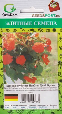 ᐉ Купить Семена бегонии крупноцветковой Электра НК Элит, 10 шт в  интернет-магазине | Stroyploshadka.Ua