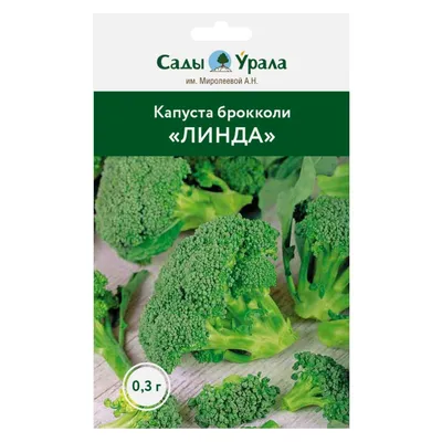 Семена капуста брокколи vegetable купить по низким ценам в  интернет-магазине Uzum (673956)