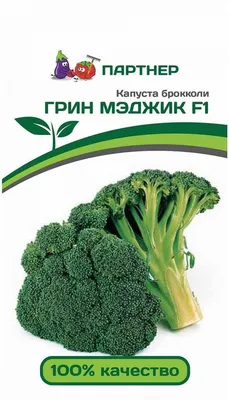 Брокколи Калабрезе - Моя зелень — Микрозелень, семена и оборудование