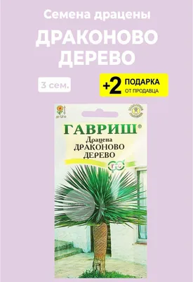 Семена драцена \"Драконово дерево\", 3 сем.+ 2 Подарка — купить в  интернет-магазине по низкой цене на Яндекс Маркете