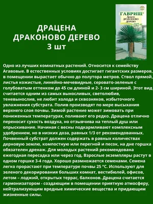 Драцена: все о выращивании, подкормке и размножении - полезные статьи о  садоводстве от Agro-Market