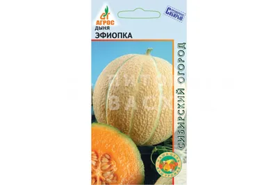 Семена дыни ROBUST F1 - купить в RUSAGRO LLC (Тбилиси, Грузия)