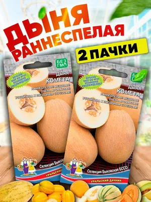 Семена дыни Алушта 1,5г ТМ ВЕЛЕС (ID#604663530), цена: 4.90 ₴, купить на  Prom.ua