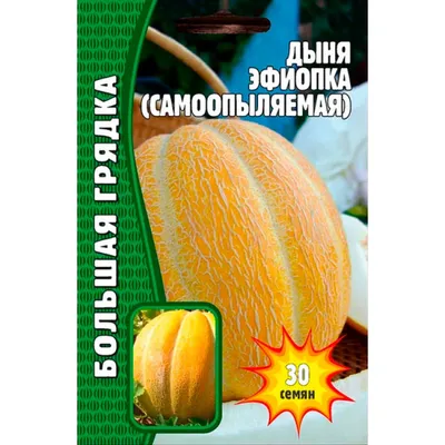 Семена дыни ES 25157 F1 (1000 шт) (id 114102892), купить в Казахстане, цена  на Satu.kz